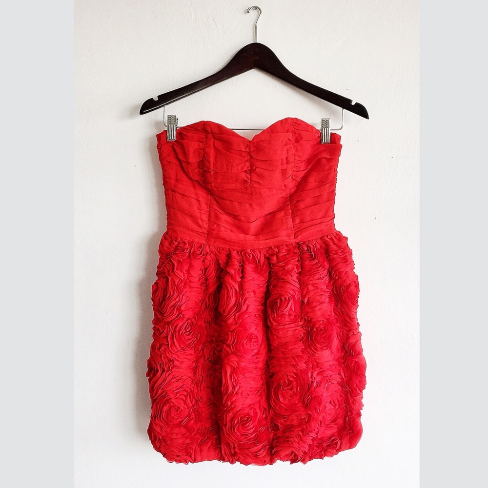 ✨Roses Strapless Garden Collection Dress by H&M✨